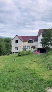 a house on a hill with a large grass field at Садиба в Бабаєво in Perechin