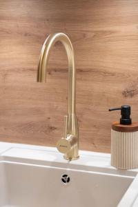 a kitchen sink with a gold faucet at Villa La Roseraie in Vichy