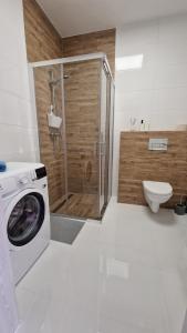 La salle de bains est pourvue d'une douche et d'un lave-linge. dans l'établissement Apartament Przy Dworcu (centrum), à Tarnowskie Góry