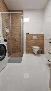 La salle de bains est pourvue d'une douche et d'un lave-linge. dans l'établissement Apartament Przy Dworcu (centrum), à Tarnowskie Góry