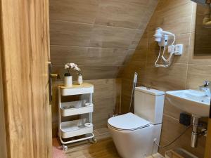 un bagno con un water e un lavandino di Samoobslužný hotel Vydra a Srní