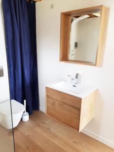 uma casa de banho com um lavatório, um WC e um espelho. em Charme & Caractères de Campagne em Tinténiac