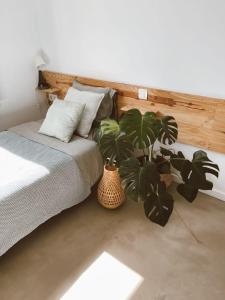 a bedroom with a bed and two potted plants at Villa Koa - Riders Surf n Bike in El Roque
