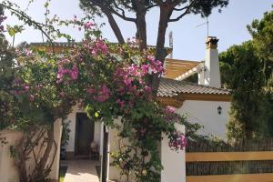 Fotografie z fotogalerie ubytování Villa mit großem Garten und Pool , 300M zum Meer v destinaci Conil de la Frontera
