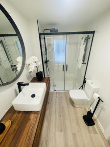 ein Badezimmer mit einem Waschbecken, einem WC und einem Spiegel in der Unterkunft Gonzalez del Valle in Oviedo