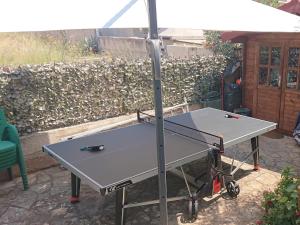 Stolní tenis v ubytování AmAmA nebo okolí