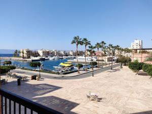 uitzicht op een jachthaven met palmbomen en boten bij Marina apartment 2 in Aqaba