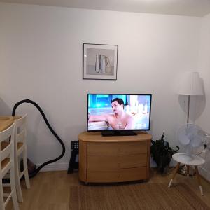 TV tai viihdekeskus majoituspaikassa HomeStay Cosy Studio