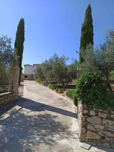 eine Auffahrt mit Bäumen, einem Zaun und einer Straße in der Unterkunft Villa Cuatro Encinas, Iznájar in Iznájar