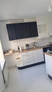 una pequeña cocina con armarios blancos y electrodomésticos negros en Gueens Palace, en Svendborg