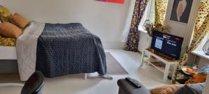 een woonkamer met een bed en een televisie bij Gueens Palace in Svendborg