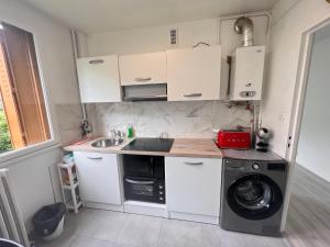 een kleine keuken met een wastafel en een wasmachine bij Appt 50m2 /3P refait à neuf proche du métro 8 in Maisons-Alfort