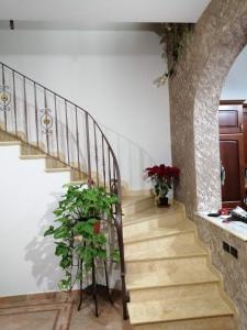 klatka schodowa w domu z dwoma doniczkami w obiekcie Mare d'Amare w mieście Mazara del Vallo