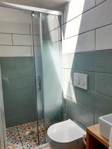 W łazience znajduje się prysznic, toaleta i umywalka. w obiekcie Studio Le Refuge w mieście Champ-sur-Drac