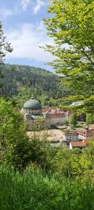 a view of a town with a building with a dome at Haus Anna-Marie in Feldberg
