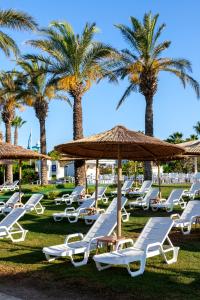 Fotografie z fotogalerie ubytování Miracle Resort Hotel v destinaci Lara