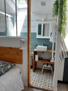 uma pequena casa de banho com um lavatório e um espelho em Studio Le Refuge em Champ-sur-Drac