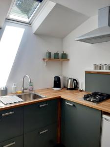 uma cozinha com armários verdes e um lavatório em Studio Le Refuge em Champ-sur-Drac