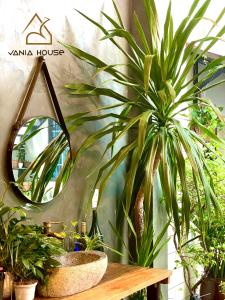 ein Spiegel und einige Pflanzen auf einem Holztisch in der Unterkunft VANIA HOUSE - cozy studio near the airport in Ho-Chi-Minh-Stadt