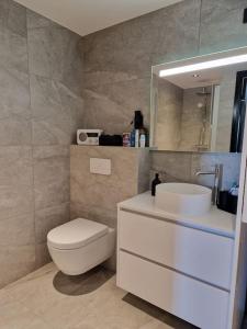 bagno con servizi igienici, lavandino e specchio di Classy Cabin Lofoten a Kleppstad