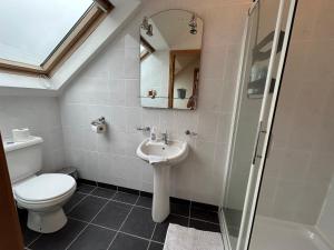 a bathroom with a toilet and a sink and a shower at The Lodge, Monkstown in Monkstown