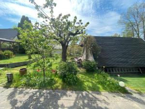 BlankenhagenにあるFerienwohnung Familie Sobierajczyk - Fewo unweit Ostseeの木と植物と家の庭