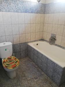 a bathroom with a toilet and a bath tub at Villa Zerva in Leptokaria