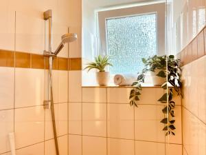 ein Badezimmer mit einer Dusche mit Pflanzen auf einem Regal in der Unterkunft Wohlfühl Strand Wohnung 'Mein Ankerplatz' in Lübeck