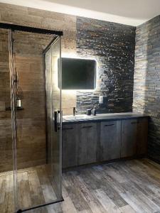 a bathroom with a shower and a sink and a tv at Apartamenty na Wzgórzu Boho 1 in Zagnańsk