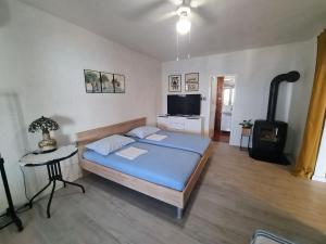 um quarto com uma cama e um fogão a lenha em Apartments Ivan em Zubovići