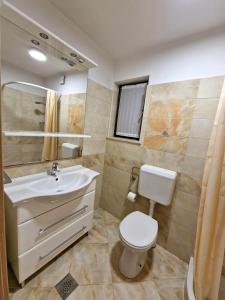 a bathroom with a toilet and a sink at Apartments Cerin-Rovinj in Rovinj