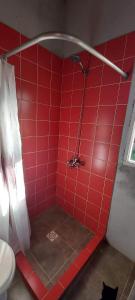 a bathroom with a red tiled shower with a cat in it at Lakshmi in Neptunia