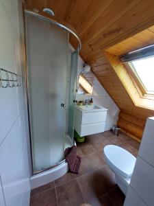 a bathroom with a shower and a toilet in a attic at Bieszczadzkie Marzenie in Wetlina