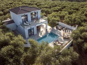 an aerial view of a house with a swimming pool at Kapodistria Luxury Villas in Plános