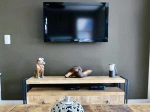 een tv aan een muur boven een houten tafel bij Becosy Loft en duplex avec terrasse et 3 chambres in Bergen