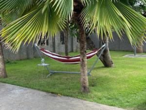 a hammock sitting between two palm trees in a yard at Relaxinhaatso - 4 Bedroom luxury house with pool in Haatso