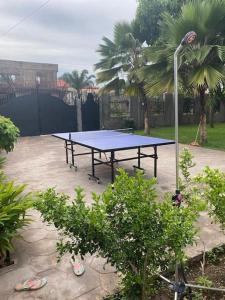 una mesa de ping pong en un patio con palmeras en Relaxinhaatso - 4 Bedroom luxury house with pool en Haatso