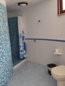 La salle de bains est pourvue d'une douche et de toilettes. dans l'établissement Venere Holidays, à Altavilla Milicia