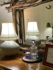dwie lampy siedzące na stole w obiekcie Mabamba Lodge w mieście Wakiso