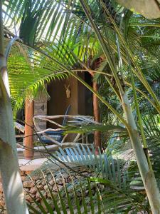 a chair sitting in front of a house with palm trees at Mabamba Lodge in Wakiso