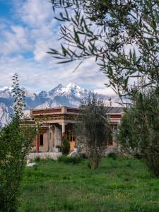 a house in a field with mountains in the background at Lchang Nang Retreat-THE HOUSE OF TREES in Nubra