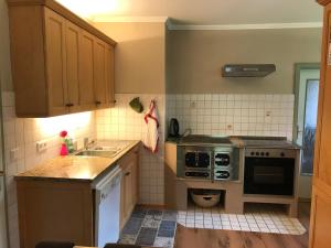 Kuchyň nebo kuchyňský kout v ubytování Ferienhaus König + 20 fotografií