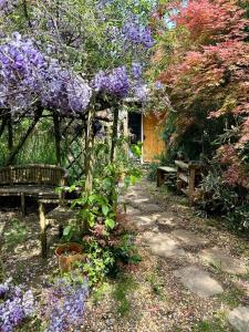 un jardín con un banco y flores púrpuras en The Garden Room, en Ringwood