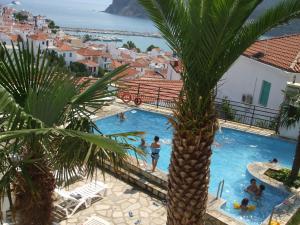 a view of a swimming pool with a palm tree at Denise Hotel in Skopelos Town