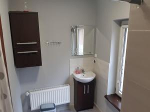 a small bathroom with a sink and a mirror at UROCZYSKO POD LASEM in Mikoszewo