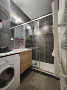 een badkamer met een wasmachine en een douche bij 4 en 1- jusqu'à 14 personnes in Riom