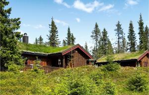 une maison au toit recouvert d'herbe dans l'établissement Nice Home In Sjusjen With Sauna, à Sjusjøen
