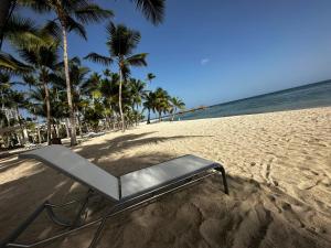 a bench on a beach with palm trees and the ocean at Moreno Paradise en Playa Juan Dolio in Los Corrales