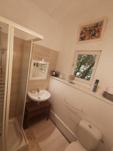 y baño con aseo y lavamanos. en Entre Ventoux et Luberon, appartement dans maison. en Malemort-du-Comtat