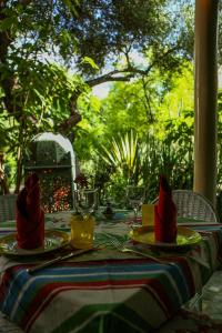 Zahrada ubytování Riad Jardin Des Biehn